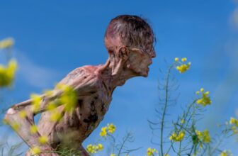 What’d You Consider ’28 Years Later’?