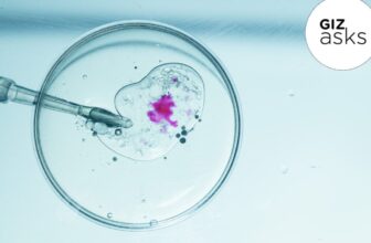 When Will Genetically Modifying Our Youngsters Go Mainstream?