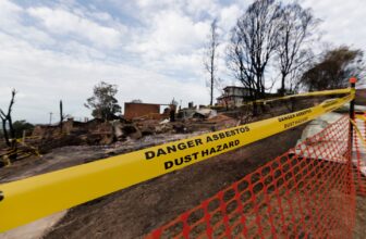 Trump EPA Could Undo Ban on Most cancers-Inflicting Asbestos