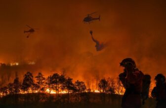 Alarming Situations and Federal Chaos May Spell a Disastrous California Hearth Season