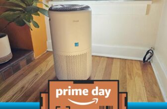 Our favourite sensible air air purifier continues to be obtainable for $37 off on this Prime Day deal