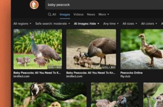 DuckDuckGo now means that you can filter out AI photographs in search outcomes