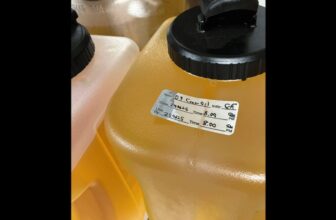 Restaurant Unknowingly Laces Pizza With THC, Doses Practically 100 Clients