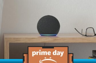 You completely mustn’t purchase an Echo Dot on Prime Day