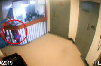 DOJ Releases Video of Jeffrey Epstein’s Jail Cell, however There is a Minute Lacking