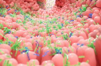 Newly Found Intestine ‘Sense’ May Change How We Suppose About Starvation and Well being