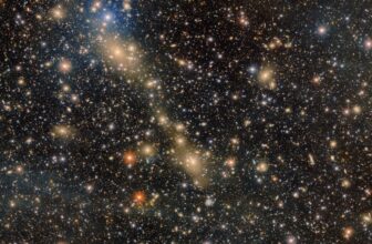 Deepest-Ever Area Picture of Big Galaxy Cluster Is a Brutal Reminder of Your Cosmic Insignificance