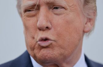 Trump Admin Has Dropped a Third of All Investigations Into Large Tech, Advocates Say