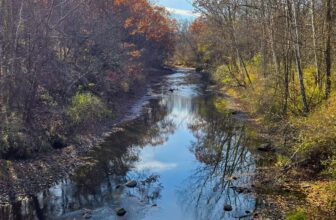 The Little Issues E-newsletter #497 – Life, laughter, and plenty of nice meals!