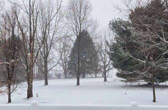 The Little Issues Publication #499 – Life, laughter, and many nice meals!