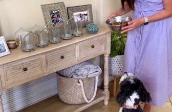 Wholesome home made pet food recipe